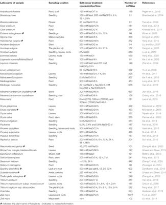 Identification and Functional Characterization of Plant MiRNA Under Salt Stress Shed Light on Salinity Resistance Improvement Through MiRNA Manipulation in Crops